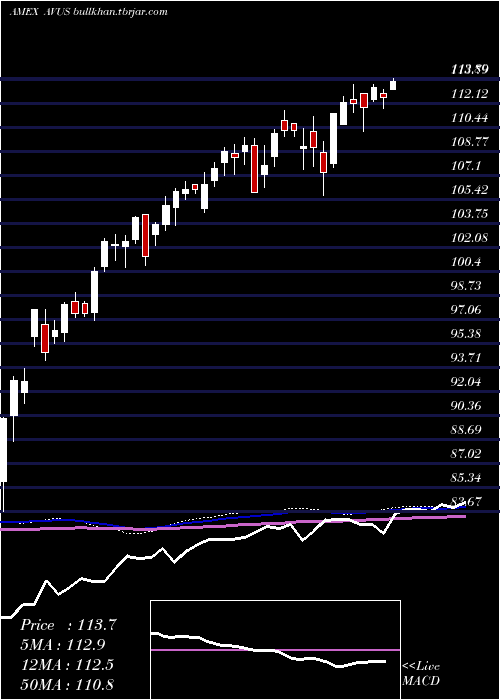 weekly chart AvantisU