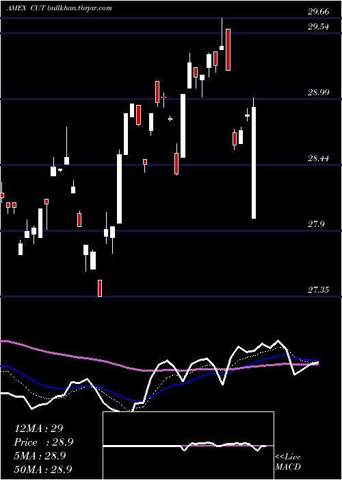  Daily chart TimberGuggenheim