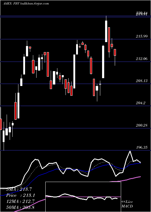  Daily chart NyseArca
