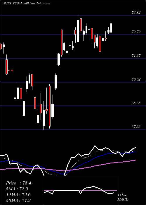  Daily chart FidelityMsci