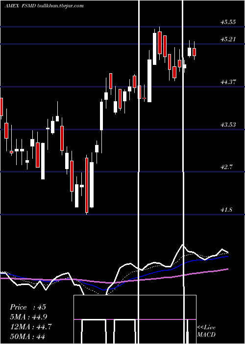  Daily chart FidelitySmall