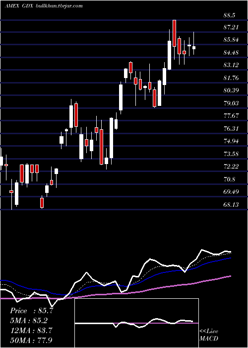  Daily chart GoldMiners