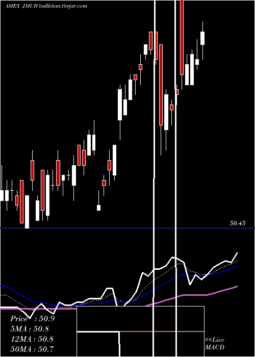  Daily chart JpmMunicipal