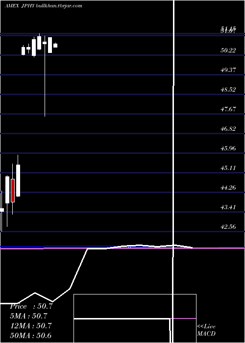  monthly chart JpmDiversified