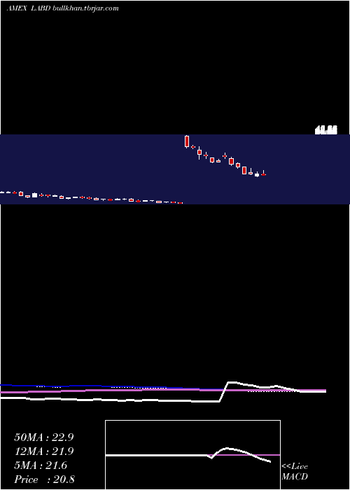  weekly chart DirexionDaily