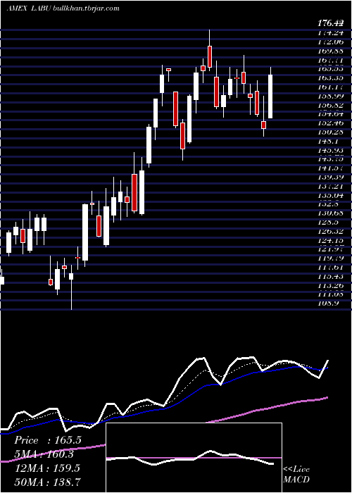 Daily chart DirexionDaily