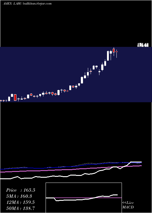  weekly chart DirexionDaily