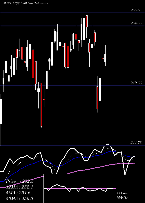  Daily chart Megacap300