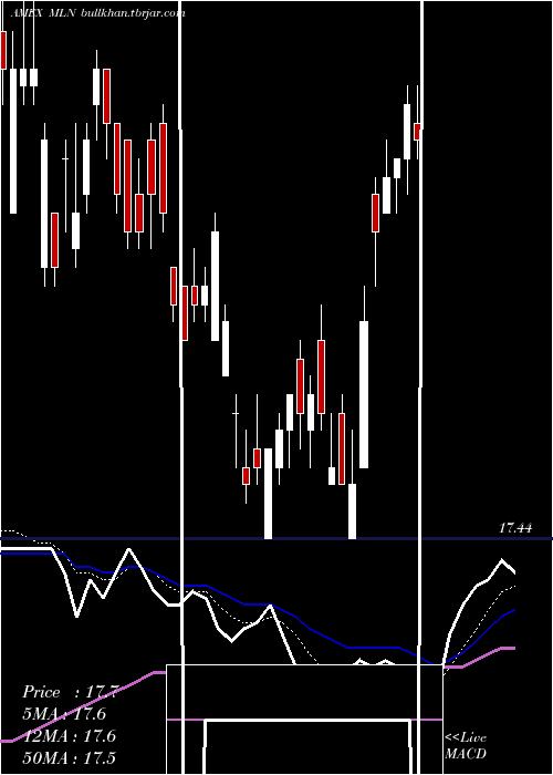  Daily chart LongMunicipal