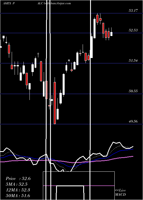 Daily chart PacerLarge