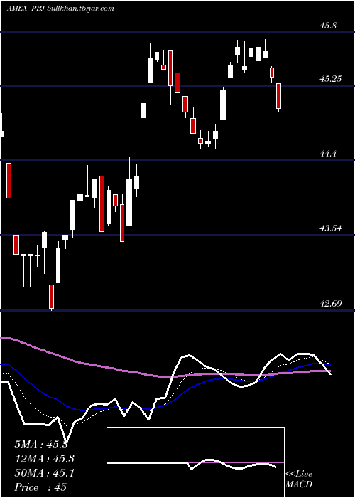  Daily chart DynamicFood