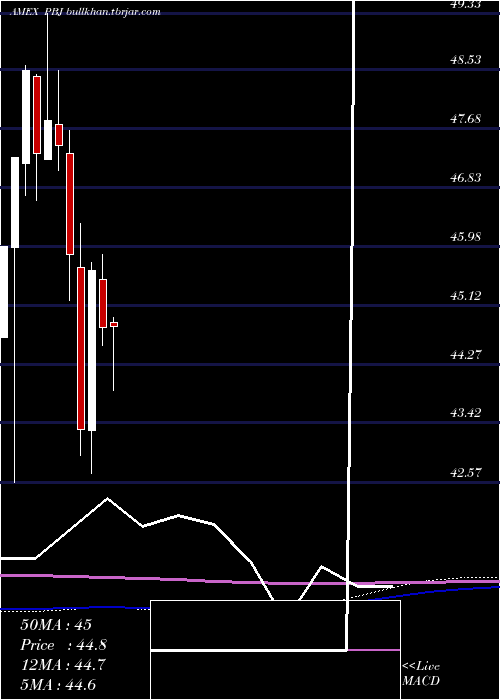  monthly chart DynamicFood