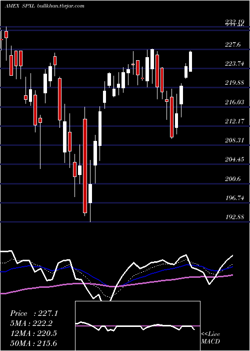  Daily chart DirexionDaily
