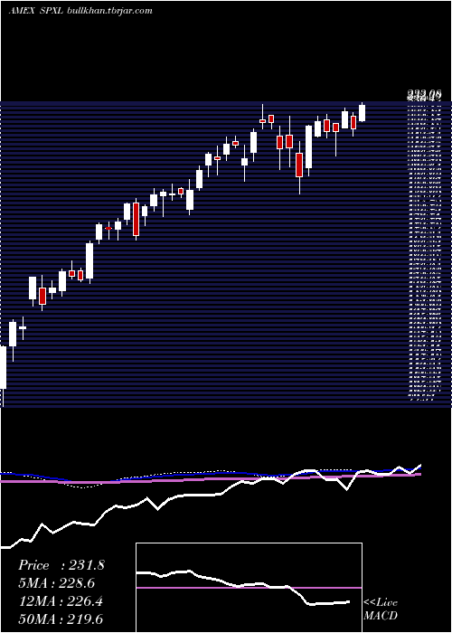  weekly chart DirexionDaily