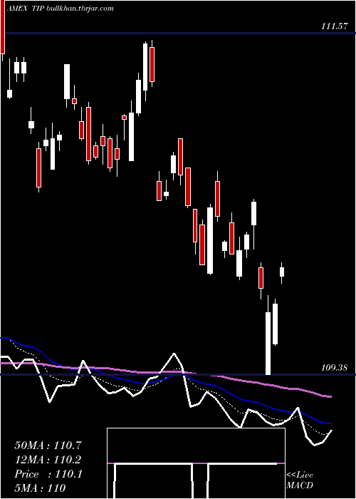  Daily chart TipsBond