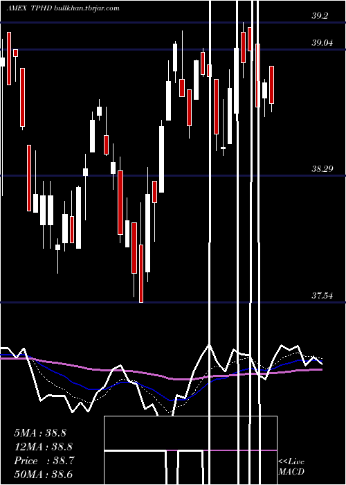  Daily chart TimothyPlan