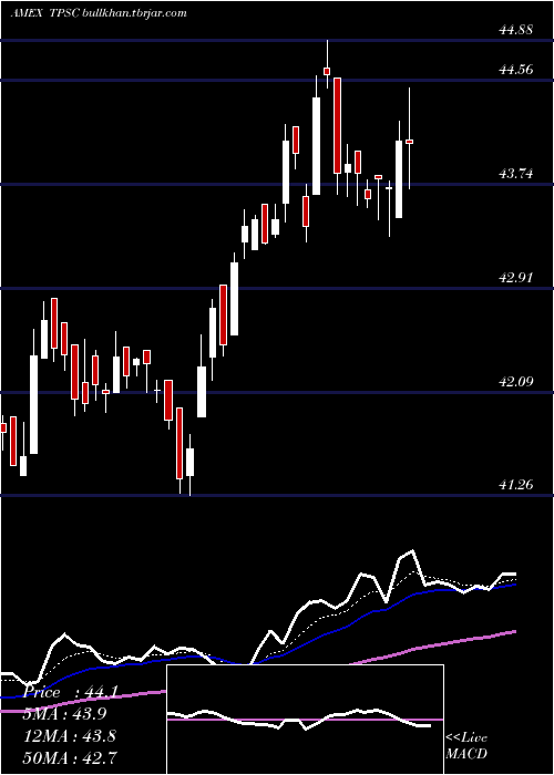  Daily chart TimothyPlan