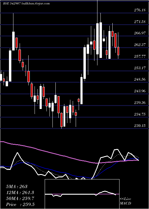  Daily chart Princepipe