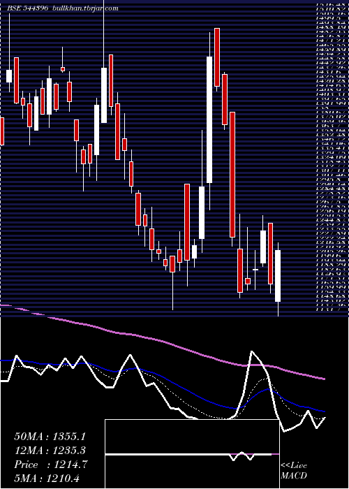  Daily chart NetworkPeople