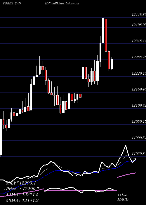  Daily chart CanadianDollar