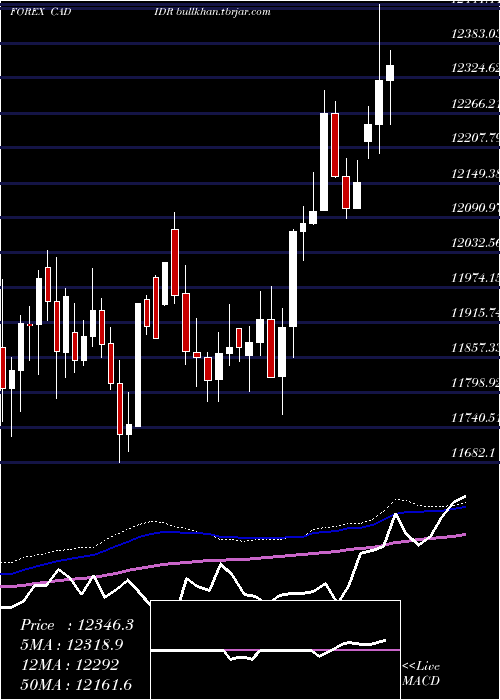  weekly chart CanadianDollar