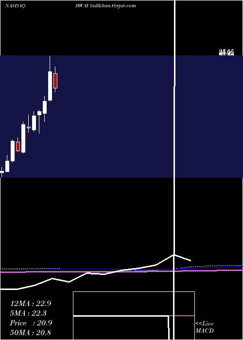  monthly chart BrainswayAdr