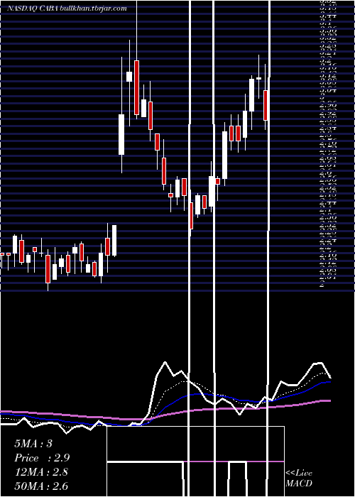  Daily chart CabalettaBio