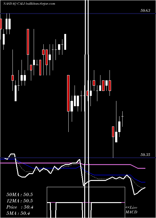  Daily chart ChinaAuto