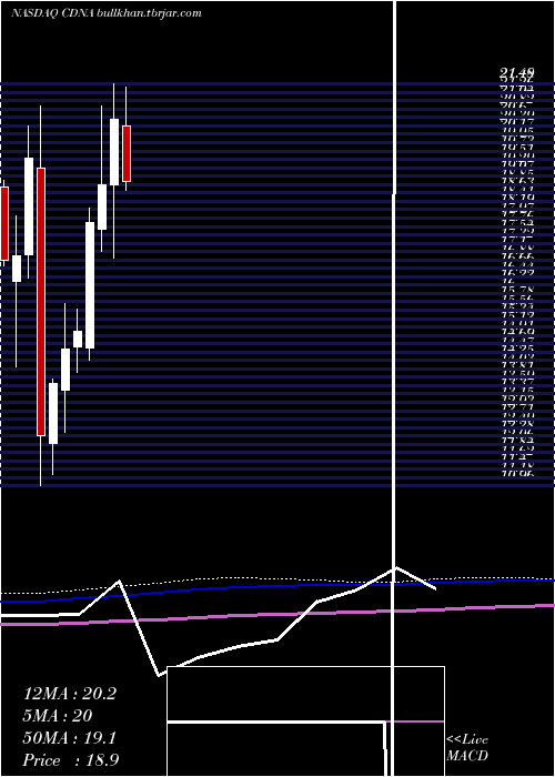  monthly chart CaredxInc