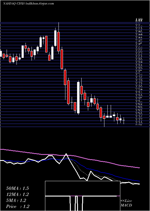  Daily chart CodexisInc