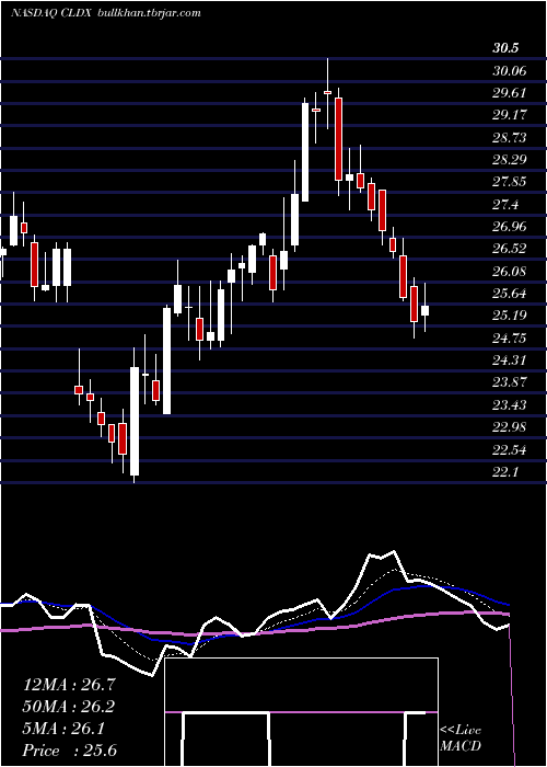  Daily chart CelldexTherapeutics