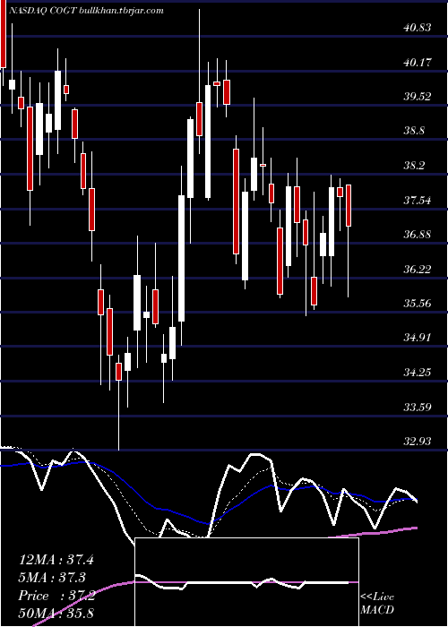  Daily chart CogintInc