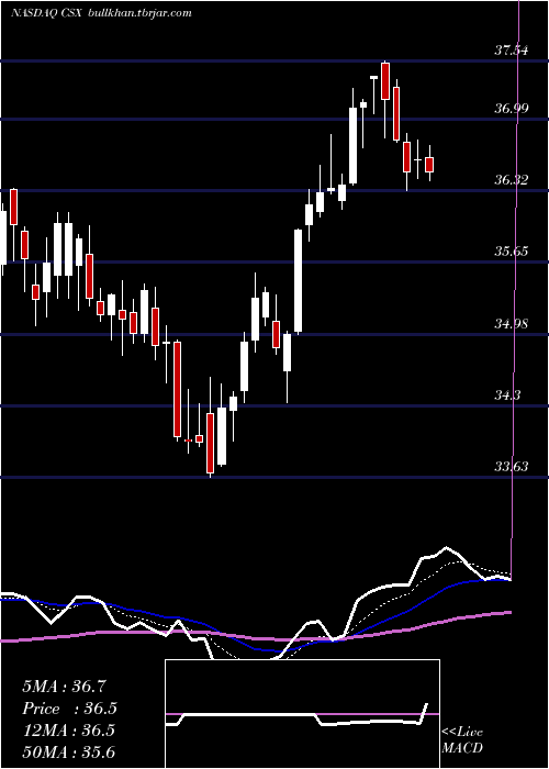  Daily chart CsxCorporation