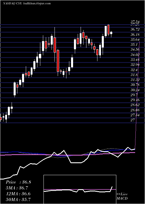  weekly chart CsxCorporation