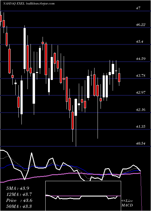  Daily chart ExelixisInc