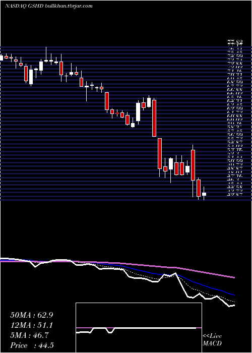  Daily chart GooseheadInsurance