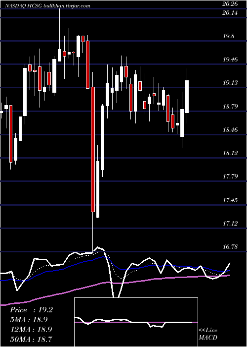  Daily chart HealthcareServices
