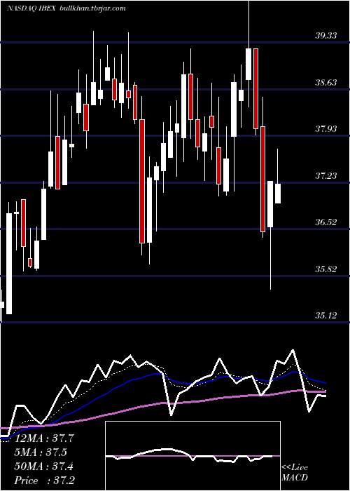  Daily chart IbexHoldings