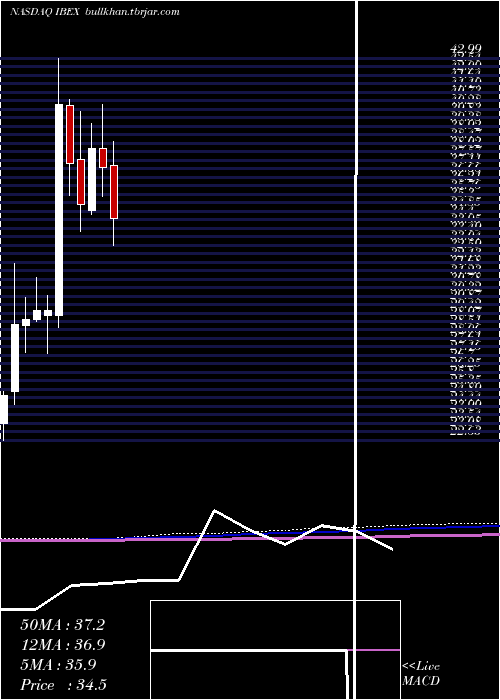  monthly chart IbexHoldings