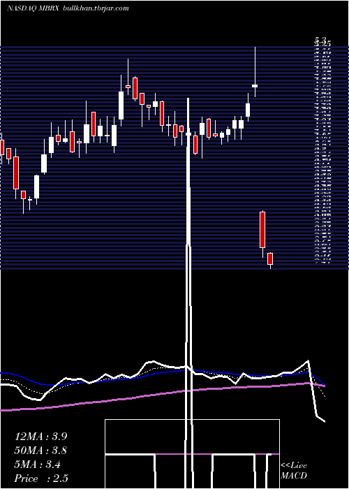  Daily chart MoleculinBiotech