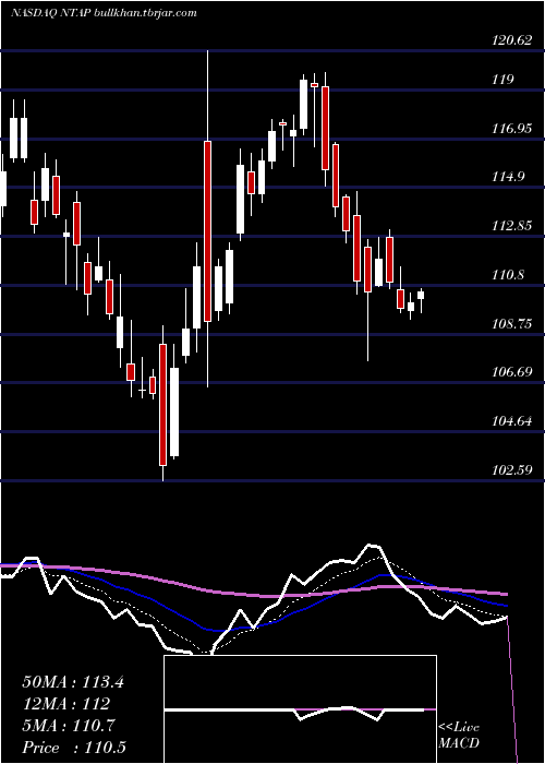  Daily chart NetappInc