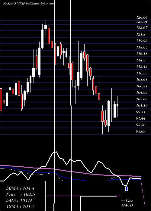  weekly chart NetappInc