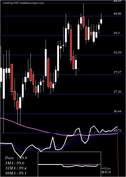  Daily chart PilgrimS