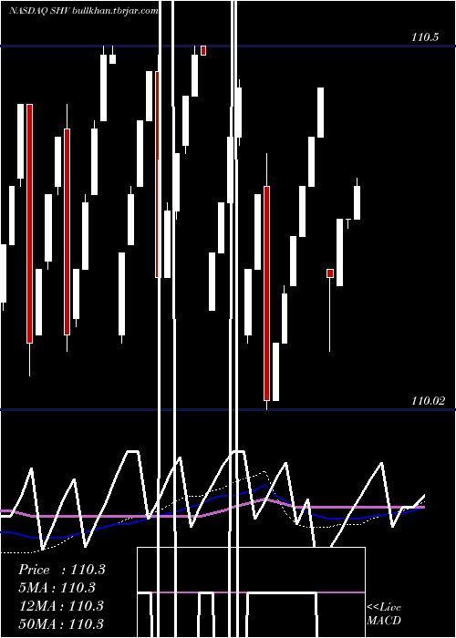  weekly chart IsharesShort