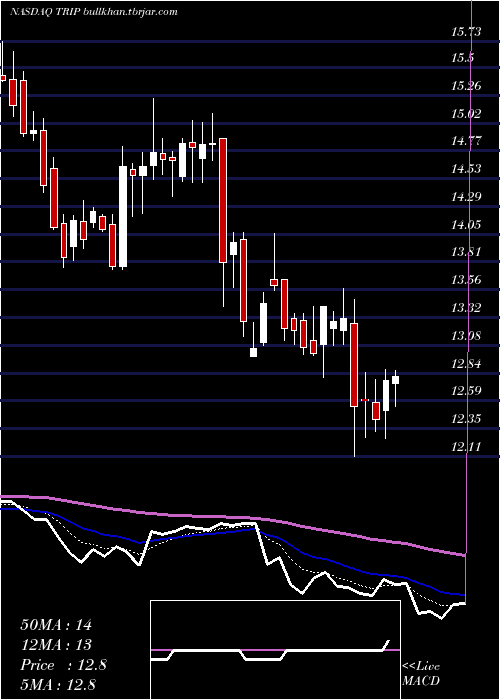  Daily chart TripadvisorInc