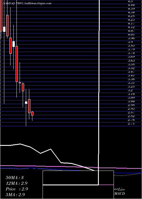  monthly chart TrivagoN