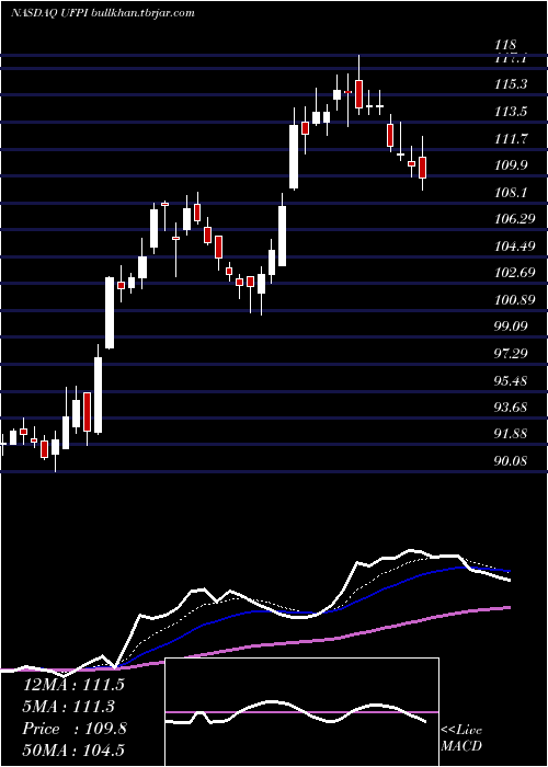  Daily chart UniversalForest