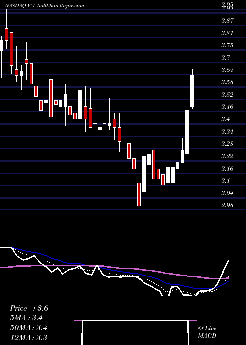  Daily chart VillageFarms