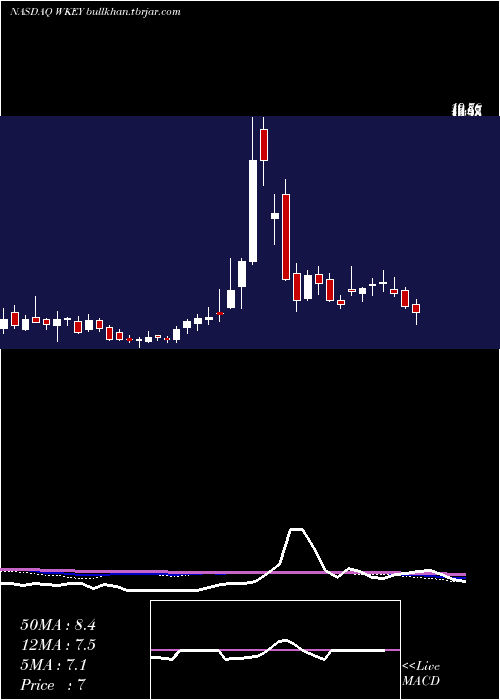  weekly chart WisekeyInternational