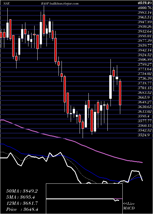  Daily chart BasfIndia